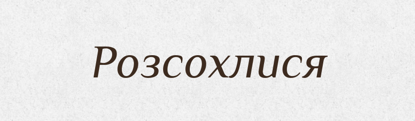 Розсохлися — Фразеологічний словник української мови