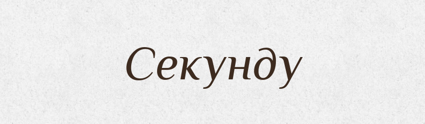 Секунду — Фразеологічний словник української мови