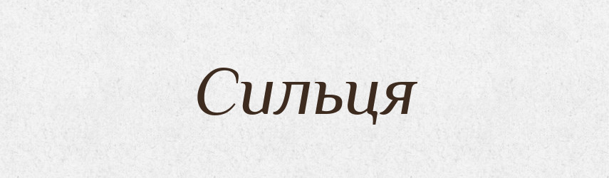 Сильця — Фразеологічний словник української мови