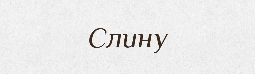 Слину — Фразеологічний словник української мови
