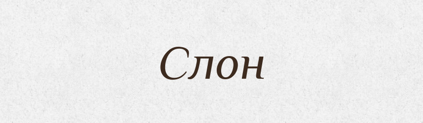 Слон — Фразеологічний словник української мови