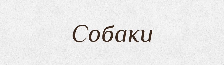 Собаки — Фразеологічний словник української мови