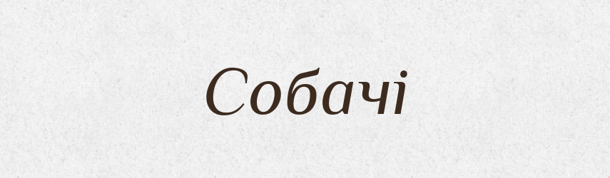 Собачі — Фразеологічний словник української мови
