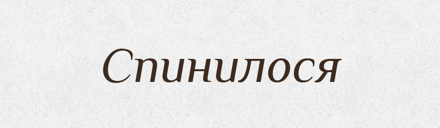 Спинилося — Фразеологічний словник української мови