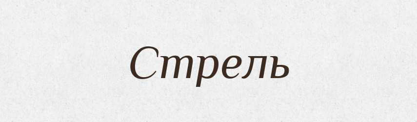 Стрель — Фразеологічний словник української мови