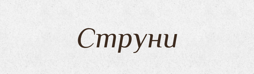 Струни — Фразеологічний словник української мови