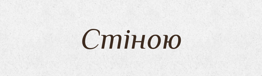 Стіною — Фразеологічний словник української мови