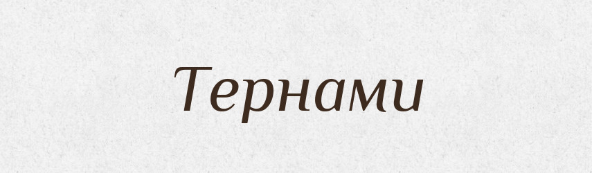 Тернами — Фразеологічний словник української мови