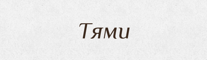 Тями — Фразеологічний словник української мови