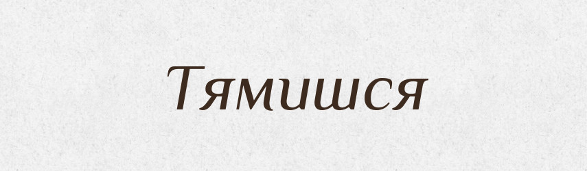 Тямишся — Фразеологічний словник української мови