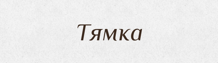 Тямка — Фразеологічний словник української мови