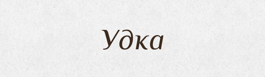 Удка — Фразеологічний словник української мови