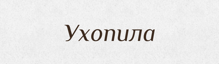 Ухопила — Фразеологічний словник української мови