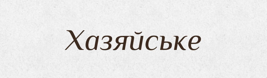 Хазяйське — Фразеологічний словник української мови