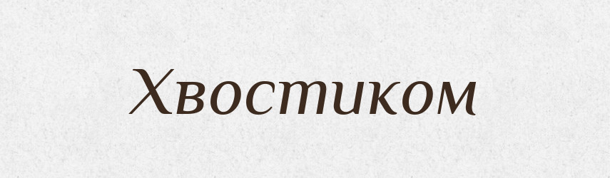 Хвостиком — Фразеологічний словник української мови