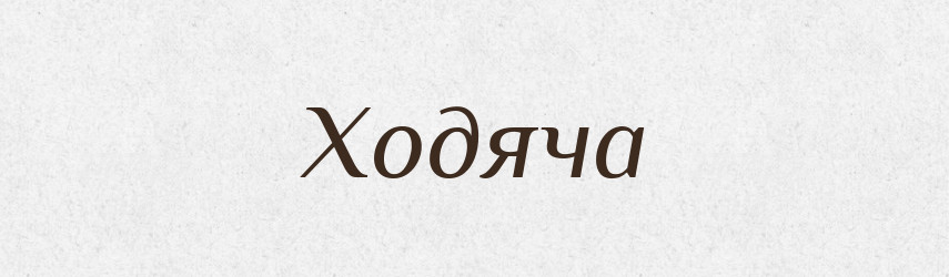 Ходяча — Фразеологічний словник української мови
