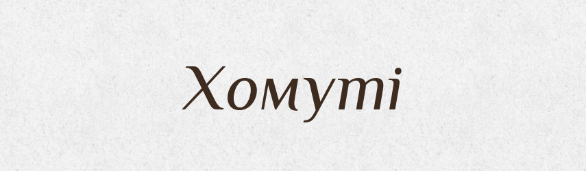 Хомуті — Фразеологічний словник української мови