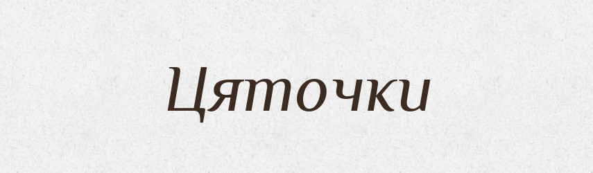 Цяточки — Фразеологічний словник української мови