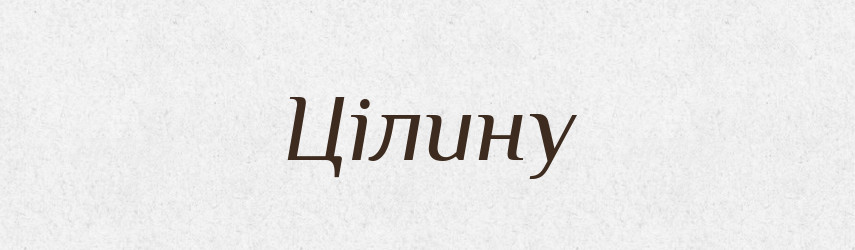 Цілину — Фразеологічний словник української мови