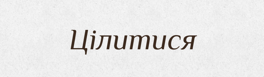 Цілитися — Фразеологічний словник української мови