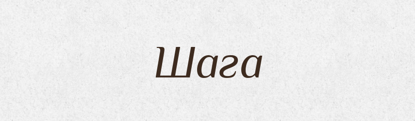 Шага — Фразеологічний словник української мови