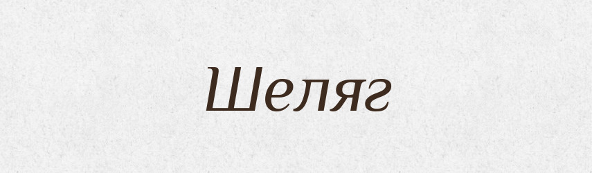 Шеляг — Фразеологічний словник української мови