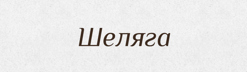 Шеляга — Фразеологічний словник української мови