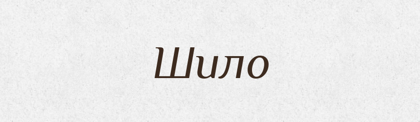 Шило — Фразеологічний словник української мови