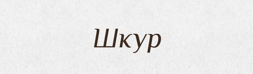 Шкур — Фразеологічний словник української мови