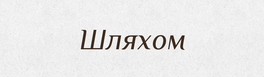 Шляхом — Фразеологічний словник української мови