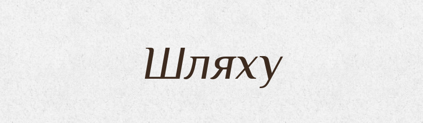 Шляху — Фразеологічний словник української мови