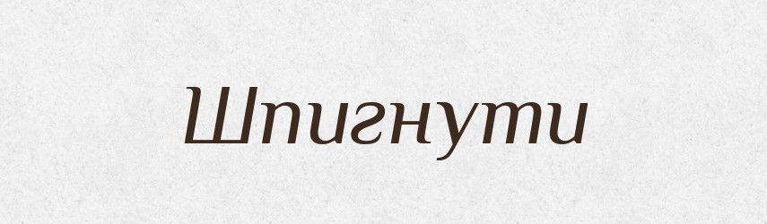 Шпигнути — Фразеологічний словник української мови