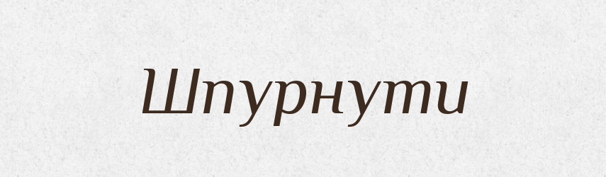 Шпурнути — Фразеологічний словник української мови