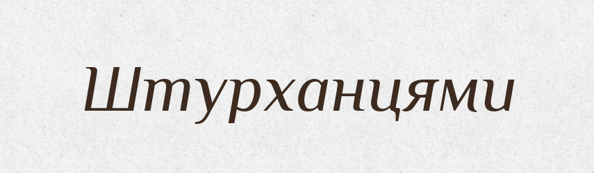 Штурханцями — Фразеологічний словник української мови