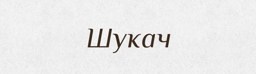 Шукач — Фразеологічний словник української мови